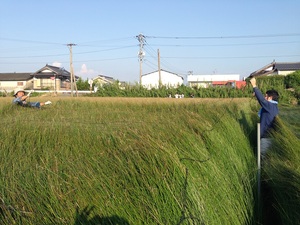 産地研修第5回 030.JPG