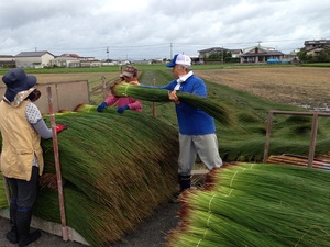 産地研修0704分 46.jpg